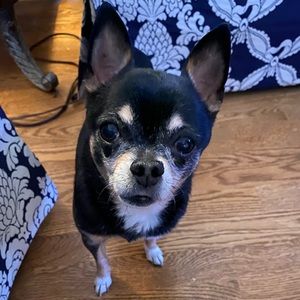 Meet your Posher, Maryanne